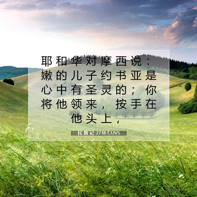 Picture 07 - 民 数 记 27:18 CUVS - 耶 和 华 对 摩 西 说 ： 嫩 的 儿 子 - Bible Verse Picture