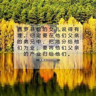 Picture 07 - 民 数 记 27:7 CUVS - 西 罗 非 哈 的 女 儿 说 得 有 理 。 - Bible Verse Picture