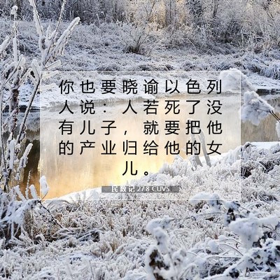 Picture 07 - 民 数 记 27:8 CUVS - 你 也 要 晓 谕 以 色 列 人 说 ： 人 - Bible Verse Picture