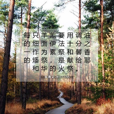 Picture 07 - 民 数 记 28:13 CUVS - 每 只 羊 羔 要 用 调 油 的 细 面 伊 - Bible Verse Picture