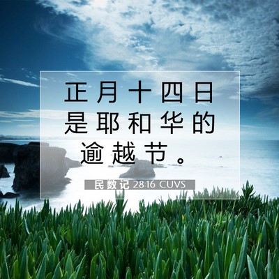 Picture 07 - 民 数 记 28:16 CUVS - 正 月 十 四 日 是 耶 和 华 的 逾 越 - Bible Verse Picture