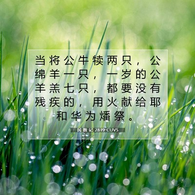 Picture 07 - 民 数 记 28:19 CUVS - 当 将 公 牛 犊 两 只 ， 公 绵 羊 一 - Bible Verse Picture