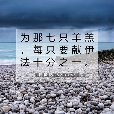 Picture 07 - 民 数 记 28:21 CUVS - 为 那 七 只 羊 羔 ， 每 只 要 献 伊 - Bible Verse Picture