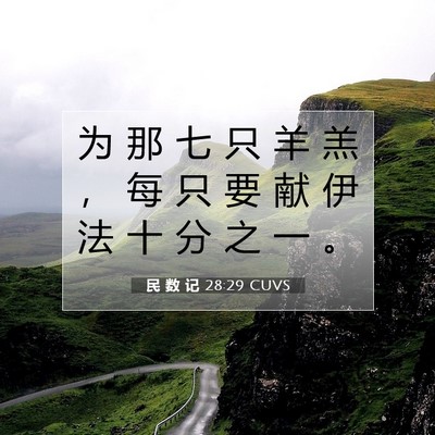 Picture 07 - 民 数 记 28:29 CUVS - 为 那 七 只 羊 羔 ， 每 只 要 献 伊 - Bible Verse Picture