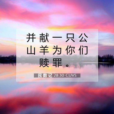 Picture 07 - 民 数 记 28:30 CUVS - 并 献 一 只 公 山 羊 为 你 们 赎 罪 - Bible Verse Picture