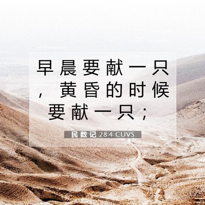 Picture 07 - 民 数 记 28:4 CUVS - 早 晨 要 献 一 只 ， 黄 昏 的 时 候 - Bible Verse Picture