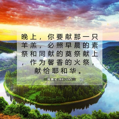 Picture 07 - 民 数 记 28:8 CUVS - 晚 上 ， 你 要 献 那 一 只 羊 羔 ， - Bible Verse Picture