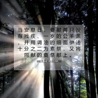 Picture 07 - 民 数 记 28:9 CUVS - 当 安 息 日 ， 要 献 两 只 没 有 残 - Bible Verse Picture
