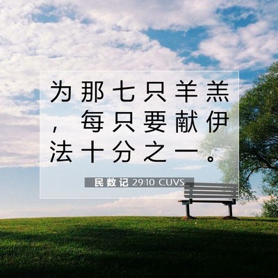 Picture 07 - 民 数 记 29:10 CUVS - 为 那 七 只 羊 羔 ， 每 只 要 献 伊 - Bible Verse Picture