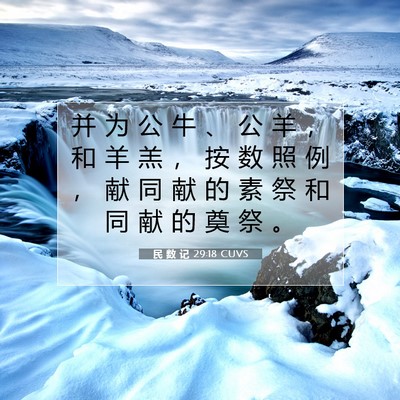 Picture 07 - 民 数 记 29:18 CUVS - 并 为 公 牛 、 公 羊 ， 和 羊 羔 ， - Bible Verse Picture