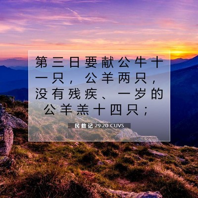 Picture 07 - 民 数 记 29:20 CUVS - 第 三 日 要 献 公 牛 十 一 只 ， 公 - Bible Verse Picture