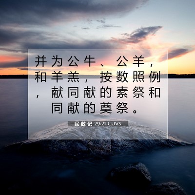 Picture 07 - 民 数 记 29:21 CUVS - 并 为 公 牛 、 公 羊 ， 和 羊 羔 ， - Bible Verse Picture