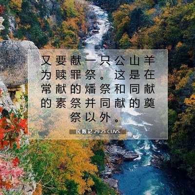 Picture 07 - 民 数 记 29:25 CUVS - 又 要 献 一 只 公 山 羊 为 赎 罪 祭 - Bible Verse Picture