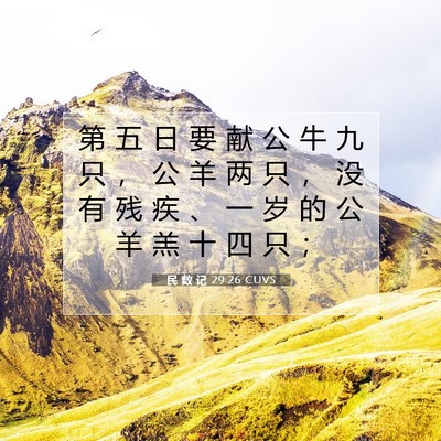 Picture 07 - 民 数 记 29:26 CUVS - 第 五 日 要 献 公 牛 九 只 ， 公 羊 - Bible Verse Picture