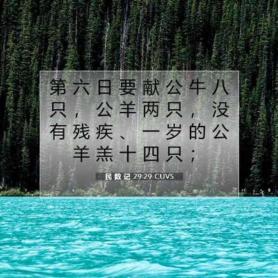 Picture 07 - 民 数 记 29:29 CUVS - 第 六 日 要 献 公 牛 八 只 ， 公 羊 - Bible Verse Picture