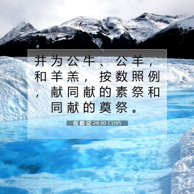 Picture 07 - 民 数 记 29:30 CUVS - 并 为 公 牛 、 公 羊 ， 和 羊 羔 ， - Bible Verse Picture