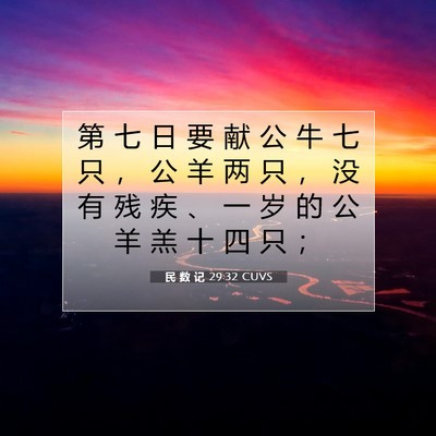 Picture 07 - 民 数 记 29:32 CUVS - 第 七 日 要 献 公 牛 七 只 ， 公 羊 - Bible Verse Picture