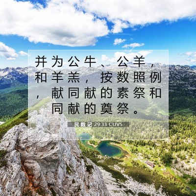 Picture 07 - 民 数 记 29:33 CUVS - 并 为 公 牛 、 公 羊 ， 和 羊 羔 ， - Bible Verse Picture