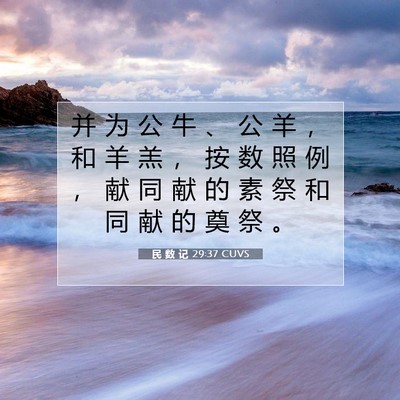 Picture 07 - 民 数 记 29:37 CUVS - 并 为 公 牛 、 公 羊 ， 和 羊 羔 ， - Bible Verse Picture