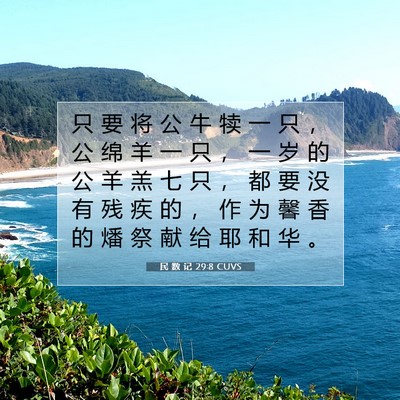 Picture 07 - 民 数 记 29:8 CUVS - 只 要 将 公 牛 犊 一 只 ， 公 绵 羊 - Bible Verse Picture