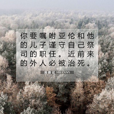 Picture 07 - 民 数 记 3:10 CUVS - 你 要 嘱 咐 亚 伦 和 他 的 儿 子 谨 - Bible Verse Picture