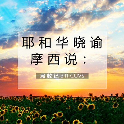 Picture 07 - 民 数 记 3:11 CUVS - 耶 和 华 晓 谕 摩 西 说 - Bible Verse Picture