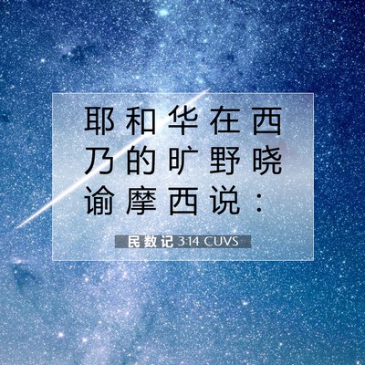 Picture 07 - 民 数 记 3:14 CUVS - 耶 和 华 在 西 乃 的 旷 野 晓 谕 摩 - Bible Verse Picture