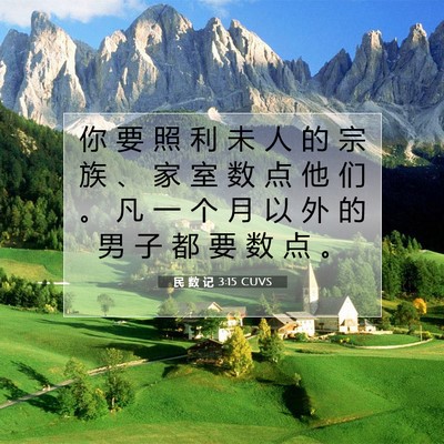 Picture 07 - 民 数 记 3:15 CUVS - 你 要 照 利 未 人 的 宗 族 、 家 室 - Bible Verse Picture