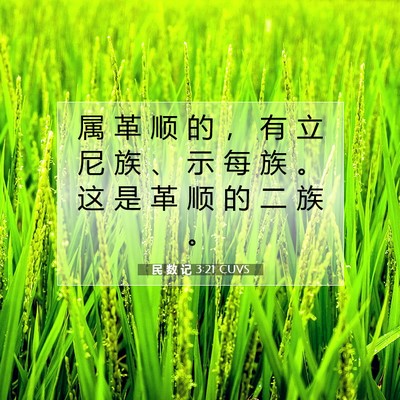 Picture 07 - 民 数 记 3:21 CUVS - 属 革 顺 的 ， 有 立 尼 族 、 示 每 - Bible Verse Picture