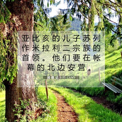 Picture 07 - 民 数 记 3:35 CUVS - 亚 比 亥 的 儿 子 苏 列 作 米 拉 利 - Bible Verse Picture