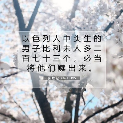 Picture 07 - 民 数 记 3:46 CUVS - 以 色 列 人 中 头 生 的 男 子 比 利 - Bible Verse Picture