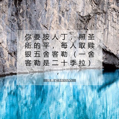 Picture 07 - 民 数 记 3:47 CUVS - 你 要 按 人 丁 ， 照 圣 所 的 平 ， - Bible Verse Picture