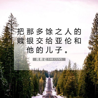 Picture 07 - 民 数 记 3:48 CUVS - 把 那 多 馀 之 人 的 赎 银 交 给 亚 - Bible Verse Picture