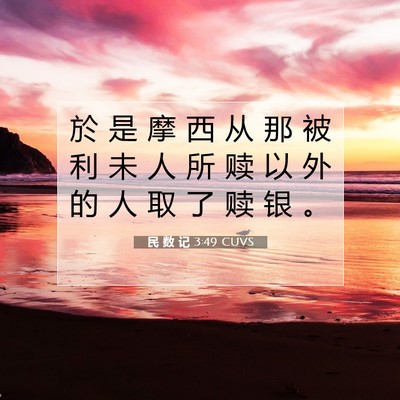Picture 07 - 民 数 记 3:49 CUVS - 於 是 摩 西 从 那 被 利 未 人 所 赎 - Bible Verse Picture
