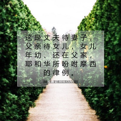 Picture 07 - 民 数 记 30:16 CUVS - 这 是 丈 夫 待 妻 子 ， 父 亲 待 女 - Bible Verse Picture