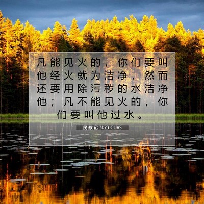 Picture 07 - 民 数 记 31:23 CUVS - 凡 能 见 火 的 ， 你 们 要 叫 他 经 - Bible Verse Picture