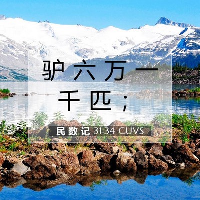 Picture 07 - 民 数 记 31:34 CUVS - 驴 六 万 一 千 匹 - Bible Verse Picture