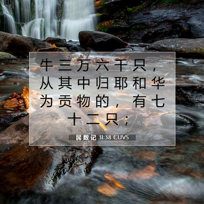 Picture 07 - 民 数 记 31:38 CUVS - 牛 三 万 六 千 只 ， 从 其 中 归 耶 - Bible Verse Picture