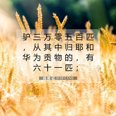 Picture 07 - 民 数 记 31:39 CUVS - 驴 三 万 零 五 百 匹 ， 从 其 中 归 - Bible Verse Picture