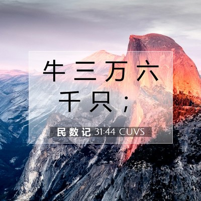 Picture 07 - 民 数 记 31:44 CUVS - 牛 三 万 六 千 只 - Bible Verse Picture