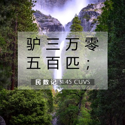 Picture 07 - 民 数 记 31:45 CUVS - 驴 三 万 零 五 百 匹 - Bible Verse Picture
