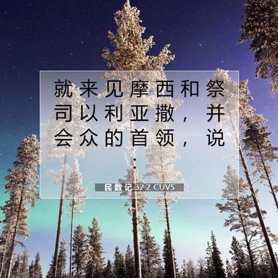 Picture 07 - 民 数 记 32:2 CUVS - 就 来 见 摩 西 和 祭 司 以 利 亚 撒 - Bible Verse Picture