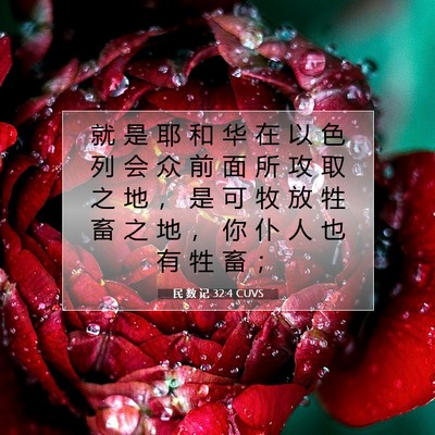 Picture 07 - 民 数 记 32:4 CUVS - 就 是 耶 和 华 在 以 色 列 会 众 前 - Bible Verse Picture