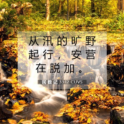 Picture 07 - 民 数 记 33:12 CUVS - 从 汛 的 旷 野 起 行 ， 安 营 在 脱 - Bible Verse Picture