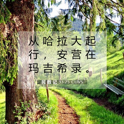 Picture 07 - 民 数 记 33:25 CUVS - 从 哈 拉 大 起 行 ， 安 营 在 玛 吉 - Bible Verse Picture