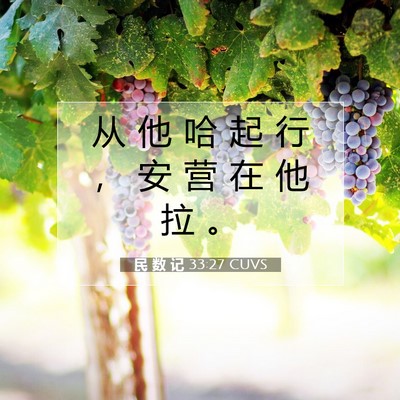 Picture 07 - 民 数 记 33:27 CUVS - 从 他 哈 起 行 ， 安 营 在 他 拉 - Bible Verse Picture