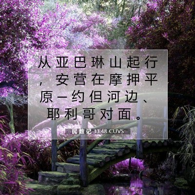 Picture 07 - 民 数 记 33:48 CUVS - 从 亚 巴 琳 山 起 行 ， 安 营 在 摩 - Bible Verse Picture
