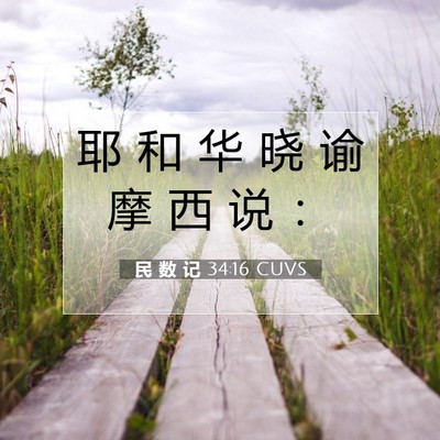 Picture 07 - 民 数 记 34:16 CUVS - 耶 和 华 晓 谕 摩 西 说 - Bible Verse Picture
