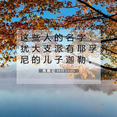 Picture 07 - 民 数 记 34:19 CUVS - 这 些 人 的 名 字 ： 犹 大 支 派 有 - Bible Verse Picture