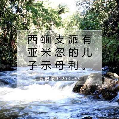 Picture 07 - 民 数 记 34:20 CUVS - 西 缅 支 派 有 亚 米 忽 的 儿 子 示 - Bible Verse Picture
